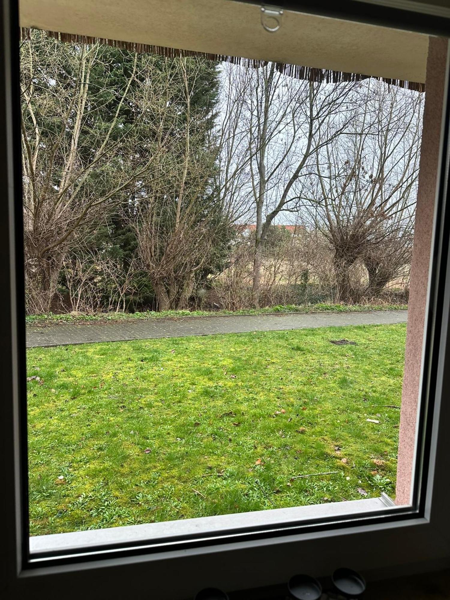 Apartamento Ruhig Und Doch Zentral Érfurt Exterior foto